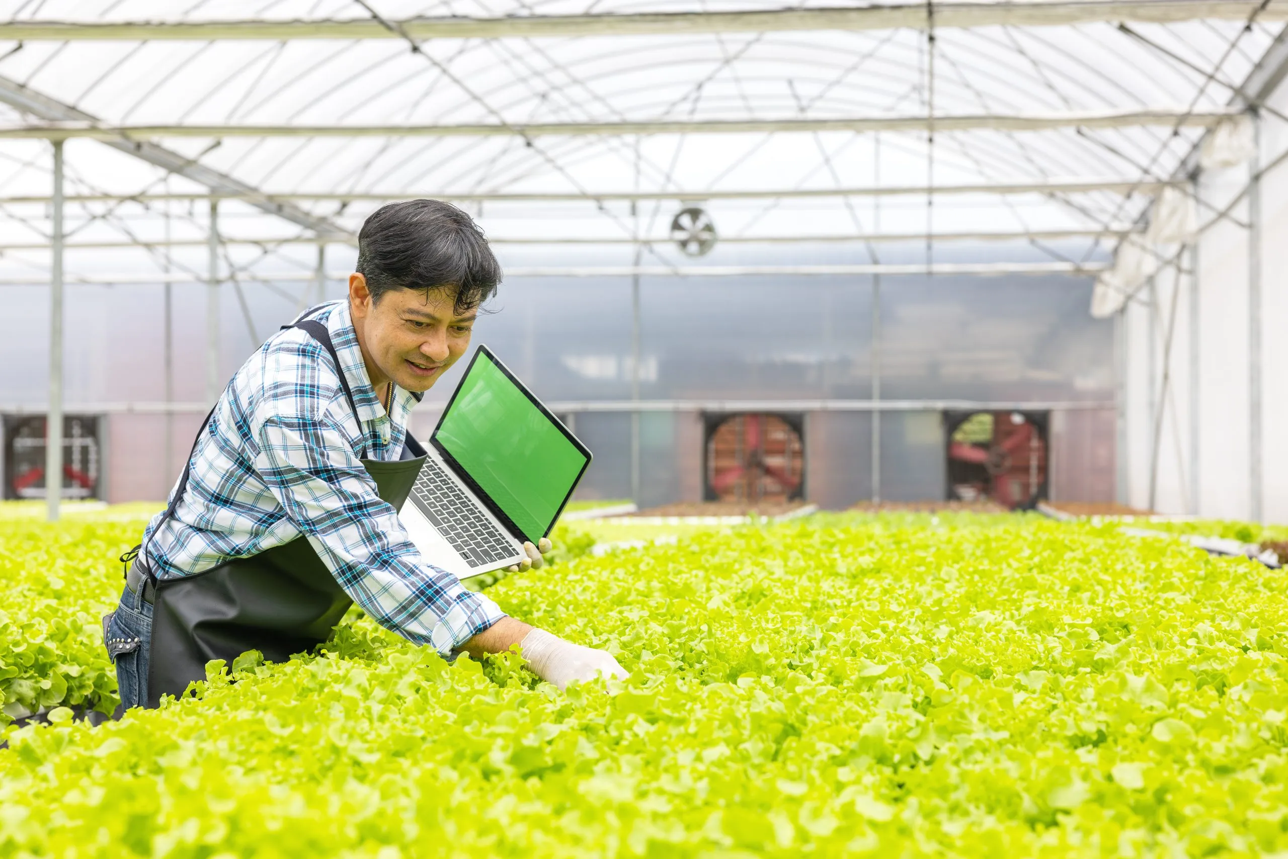 Japan Agriculture Tech Market Expected to Cross USD 1 Billion with Drone Adoption Rising 25 Percent greenhouse-environment-agricultural-researcher-examines-plants-with-laptop-computer-while-holding-laptop-scaled