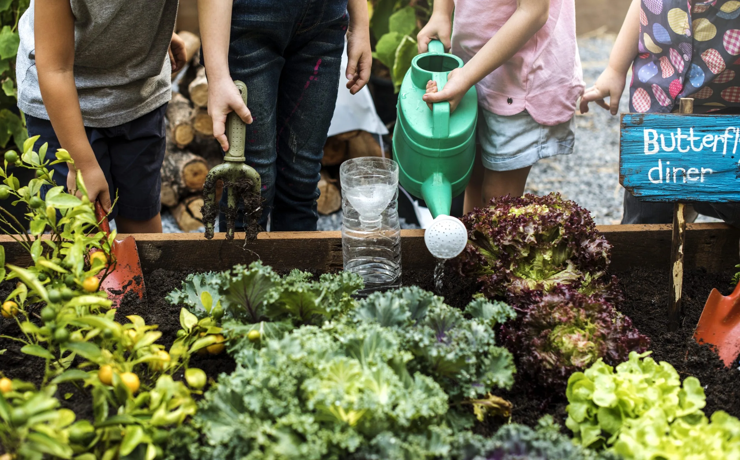 group-kindergarten-kids-learning-gardening-outdoors-scaled