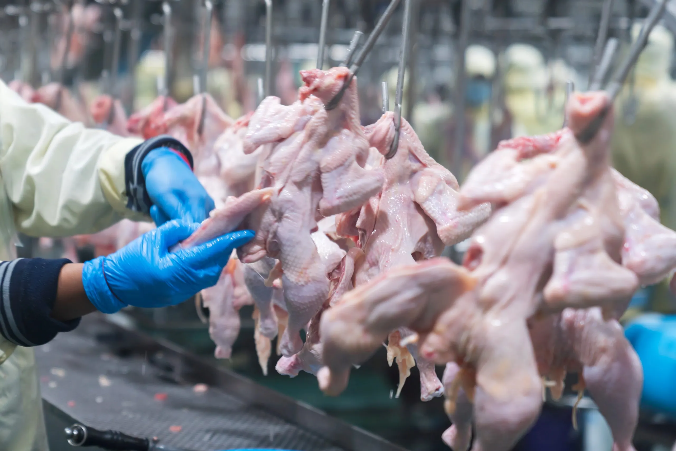 KSA Poultry Meat Market Supported by USD 5.86 Billion Growth Outlook Amid Food Security and Halal Protein Demand group-people-sale-market-scaled