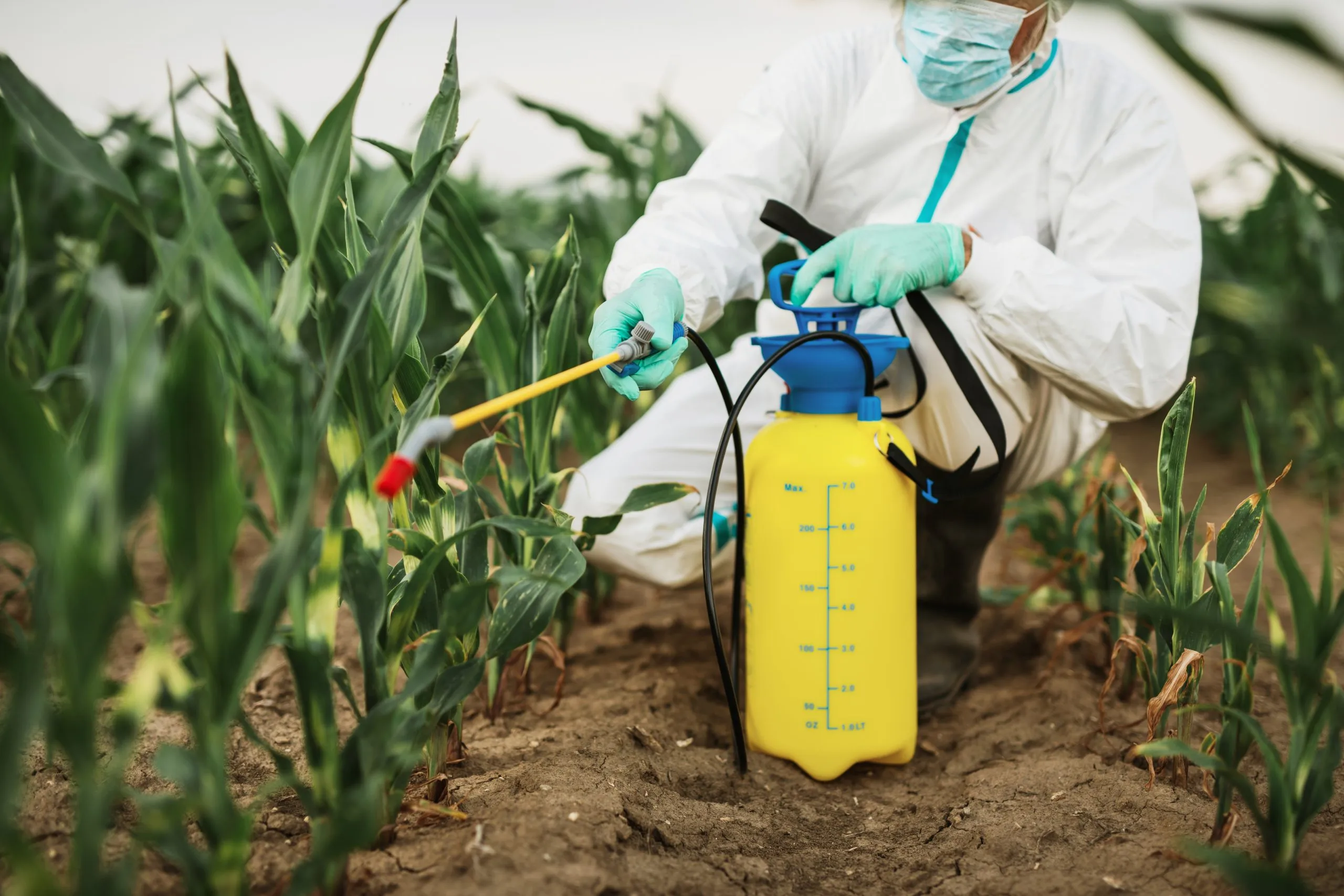 UK Insecticide Market Outlook to 2035 industrial-agriculture-theme-man-spraying-toxic-pesticides-insecticides-corn-growing-plantation-scaled