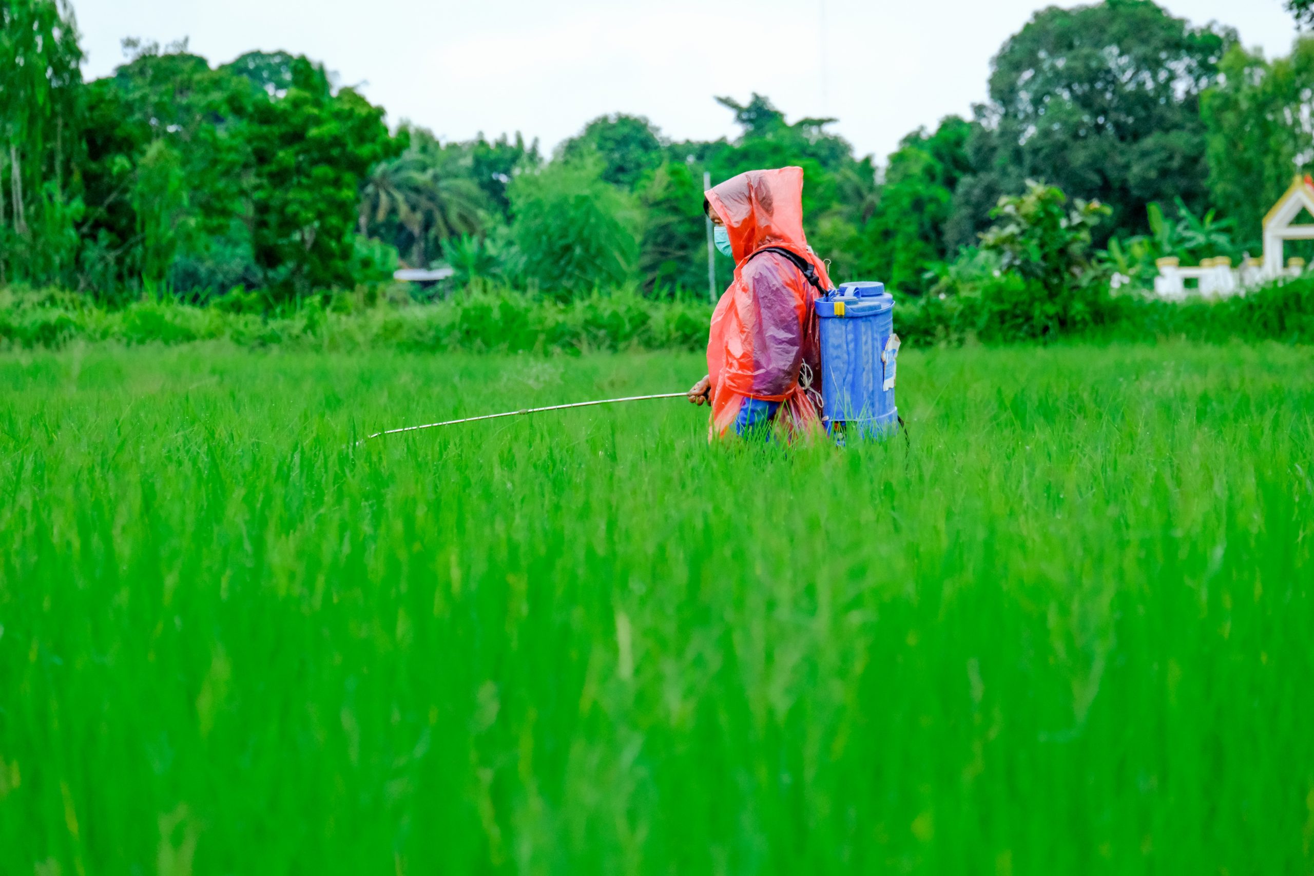 KSA Insecticide Market Outlook to 2035 luggage-grass-scaled