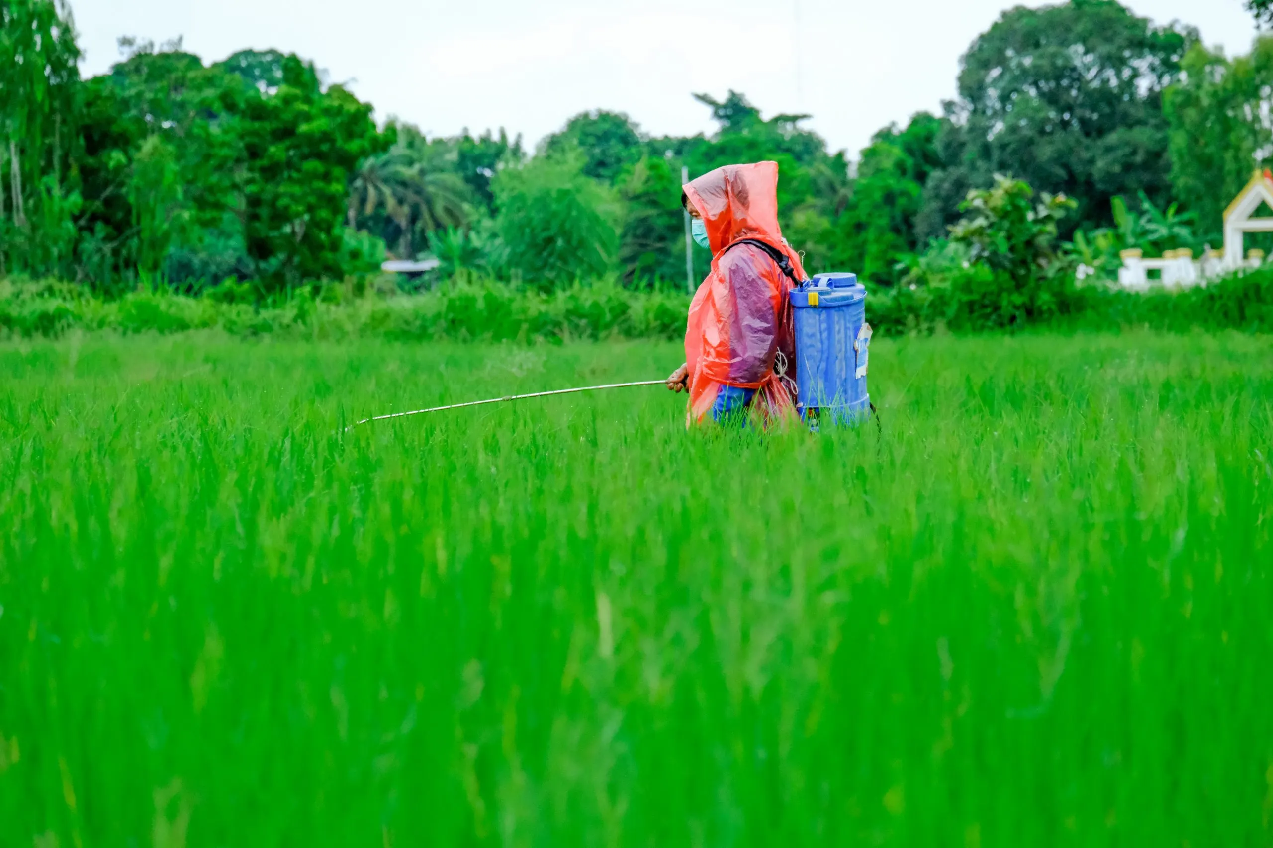 KSA Insecticide Market Outlook to 2035 luggage-grass-scaled