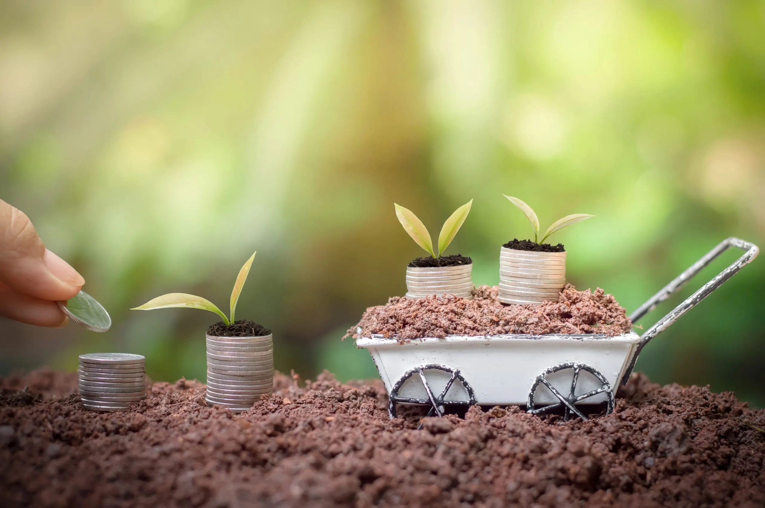 Organic Fertilizer Markets Grow as Demand for Sustainable Agriculture Continues to Rise organic-fertilizer-market-entry-strategy-scaled