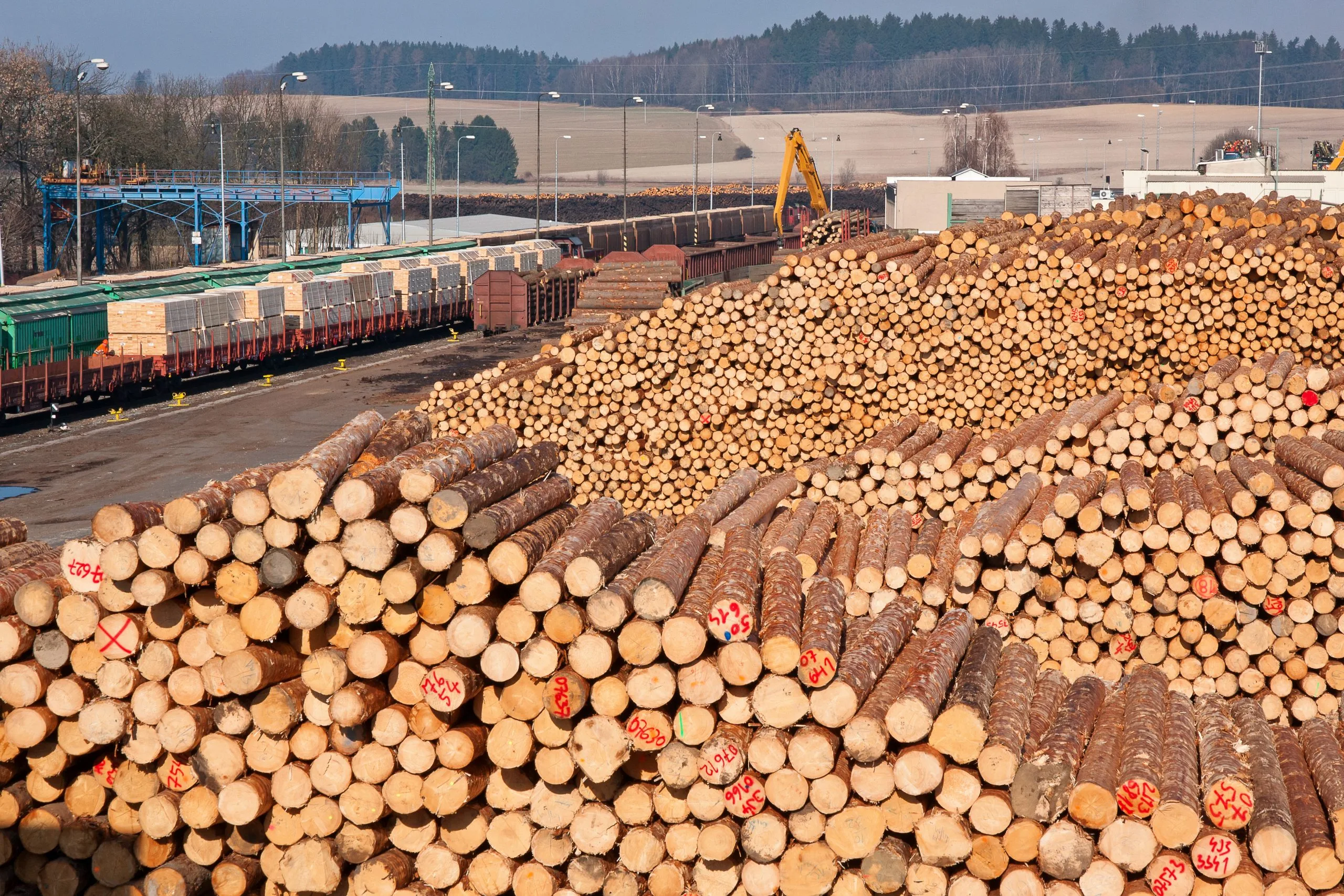 Philippines Sawnwood Market Outlook to 2035 pile-wood-scaled