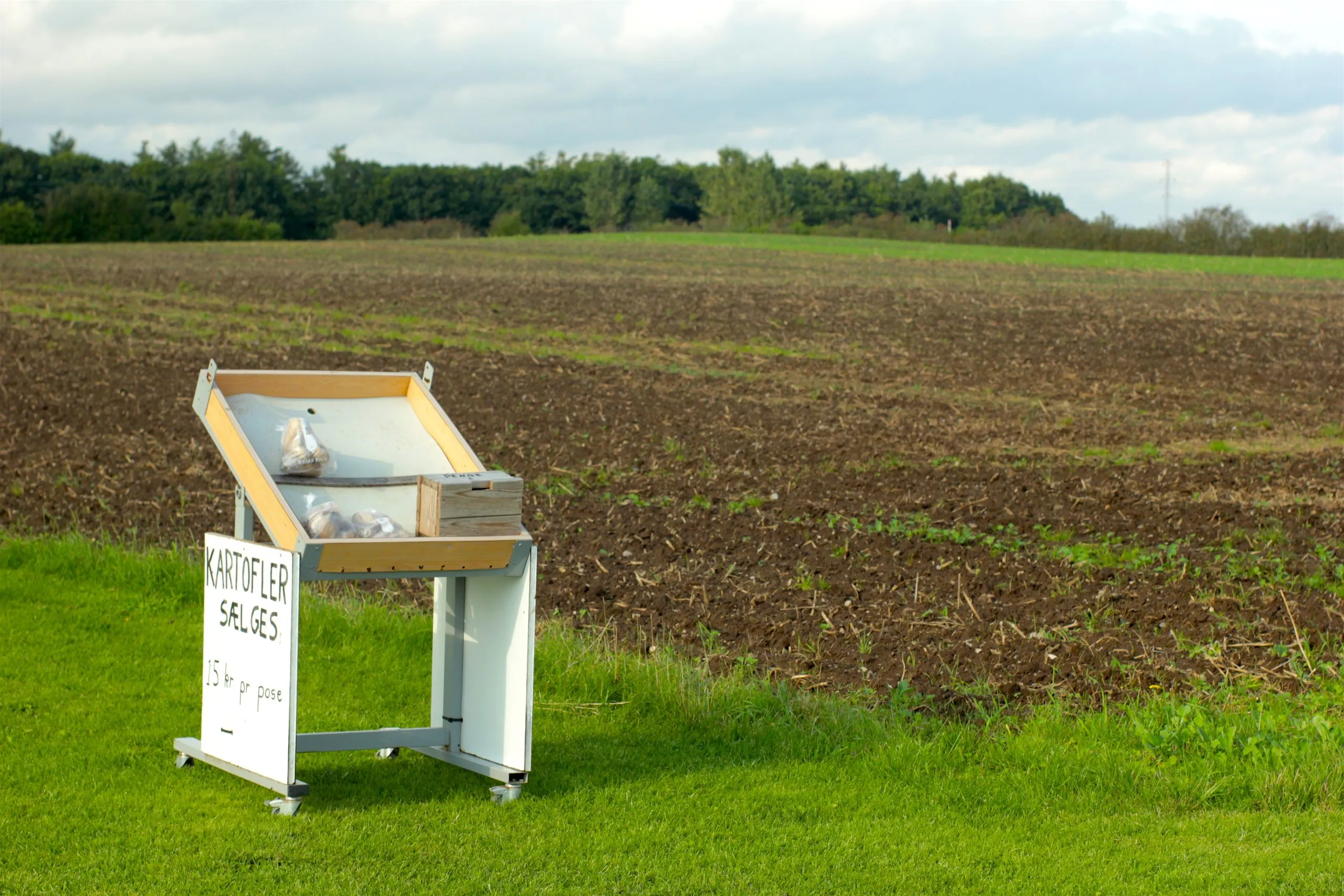 South Africa Controlled Release Fertilizer Market Outlook to 2035 potatoes-sale-stall-field-against-cloudy-sky-scaled