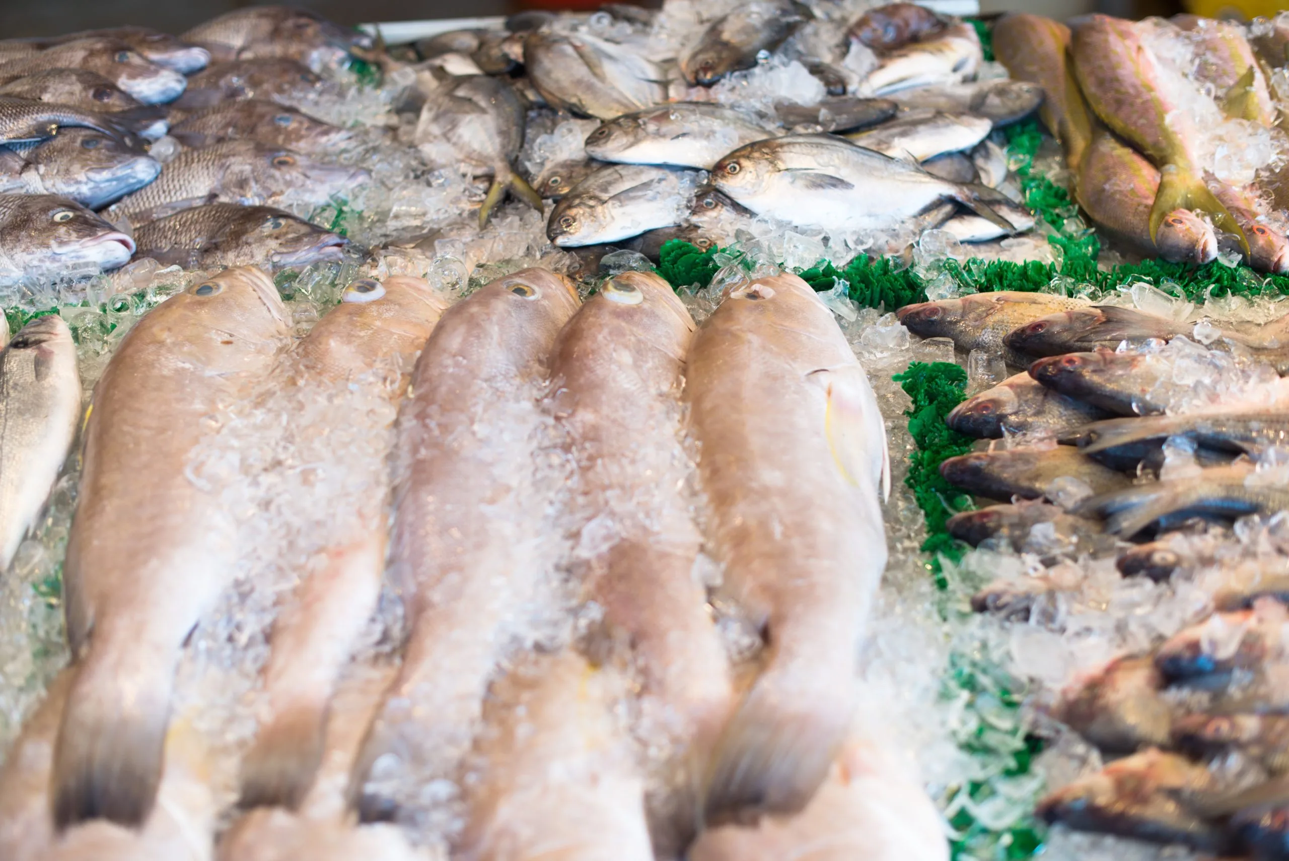 raw-fish-market-scaled