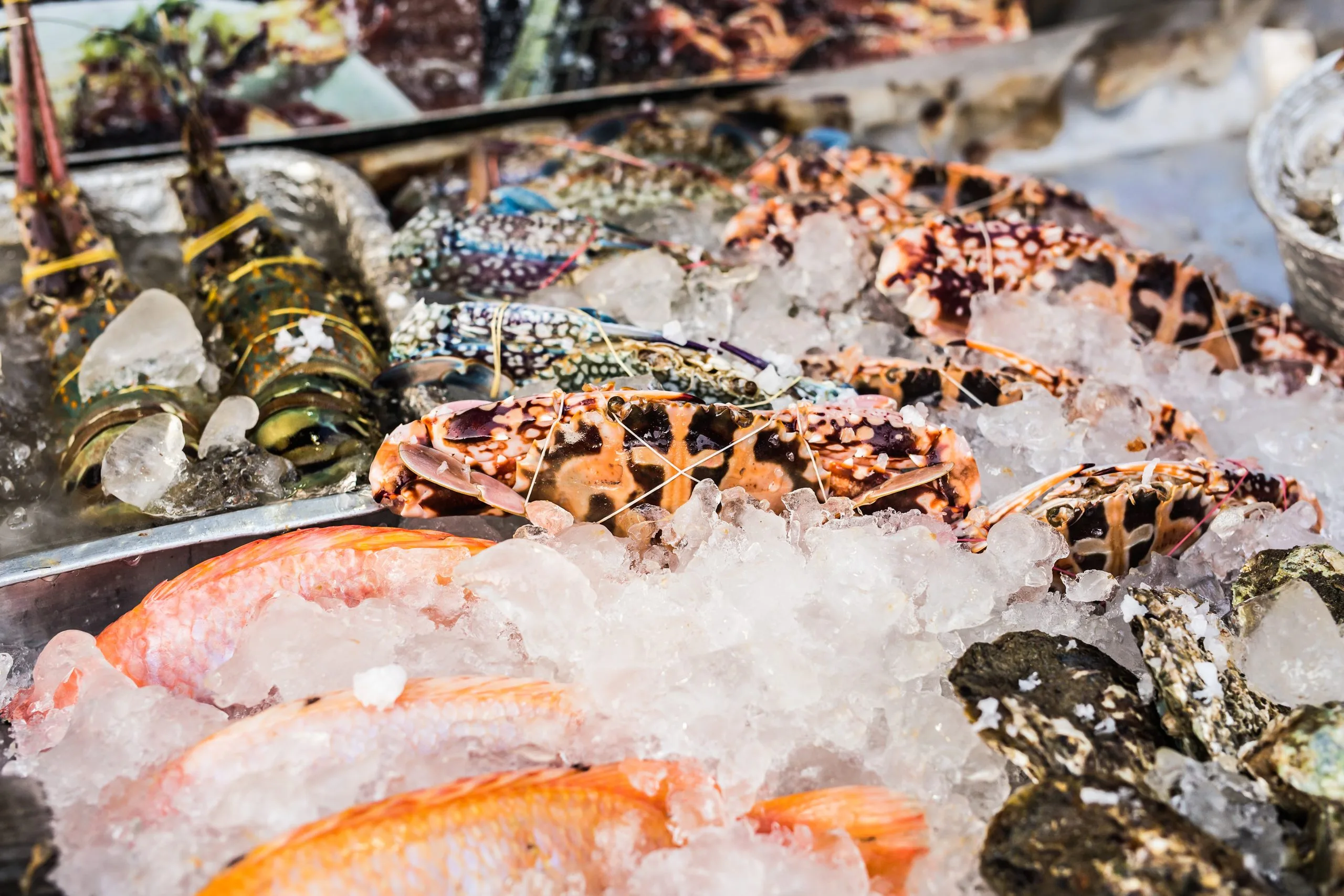 USA Frozen Seafood Market Growing at Over 5 Percent CAGR Driven by Health Conscious Consumers seafood-ice-fish-market-scaled