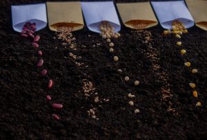 South Africa Micronutrient Fertilizer Market Outlook to 2035