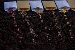 South Africa Micronutrient Fertilizer Market Outlook to 2035