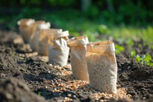 UAE Micronutrient Fertilizer Market Outlook to 2035