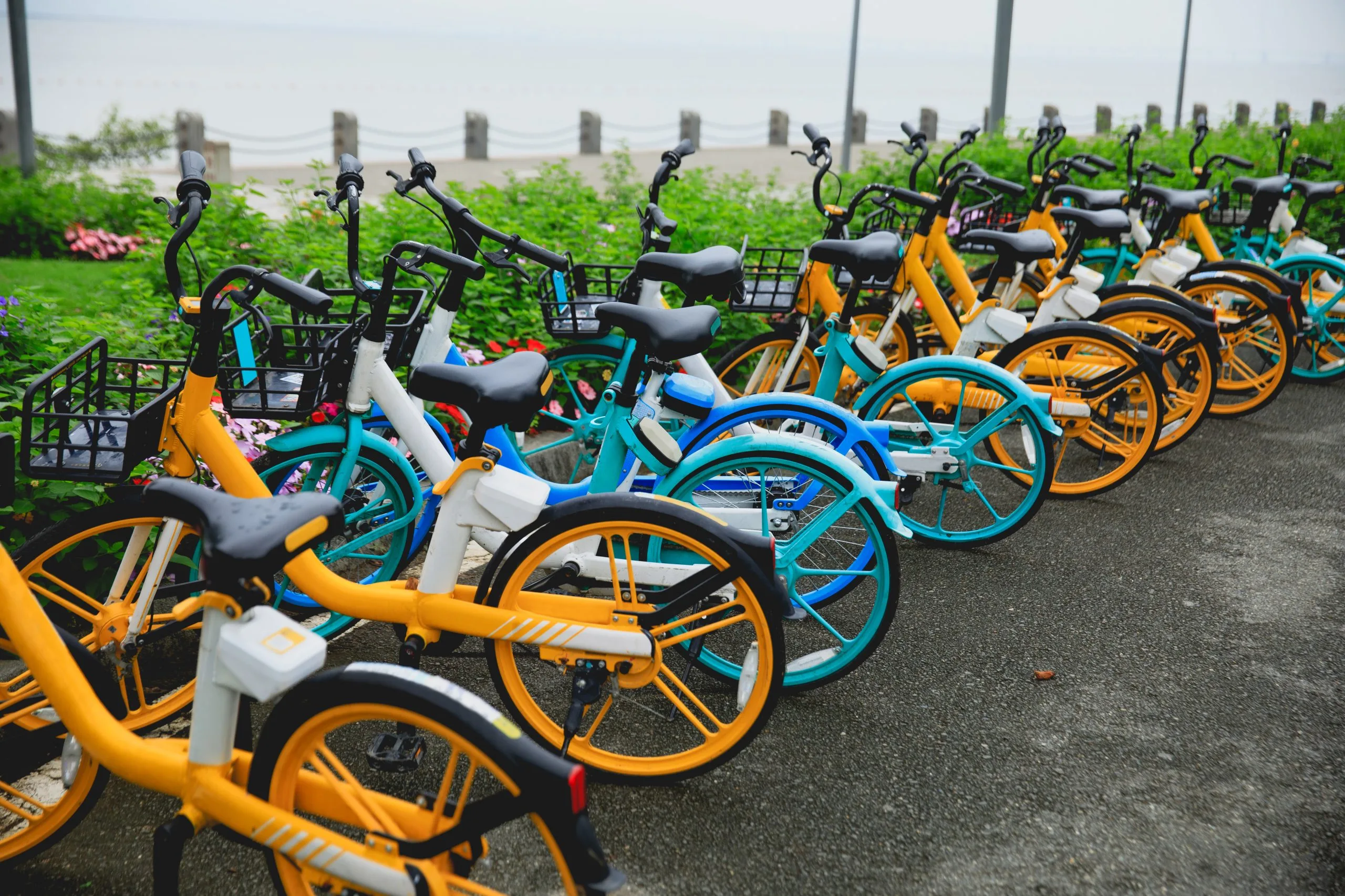 The Future of Cycling in Nigeria Trends Shaping Bicycle Demand as Electric Bikes Grow at 11.59% CAGR value shared-bike-riding-seaside-scaled