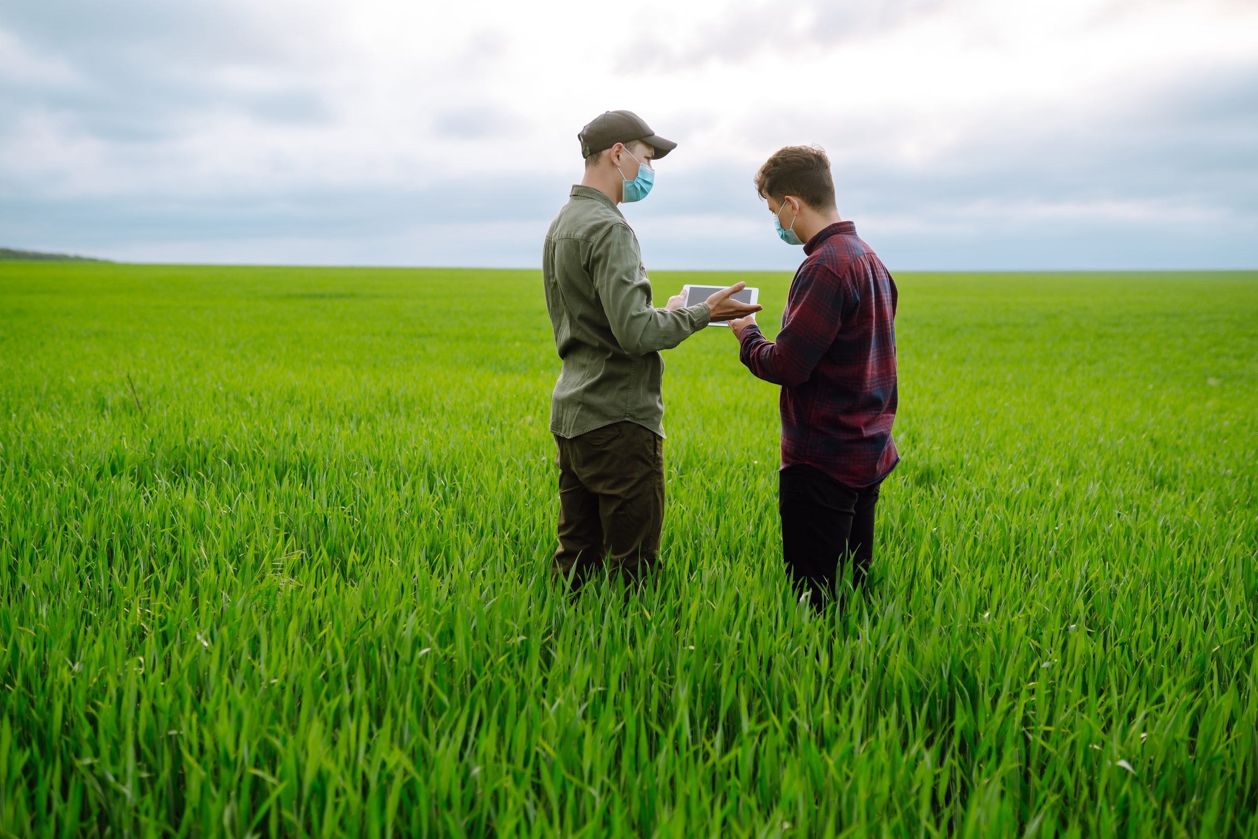 Vietnam Controlled Release Fertilizer Market Outlook to 2035 two-farmers-protection-mask-with-tablet-field-modern-agriculture-technologysmart-farming-scaled