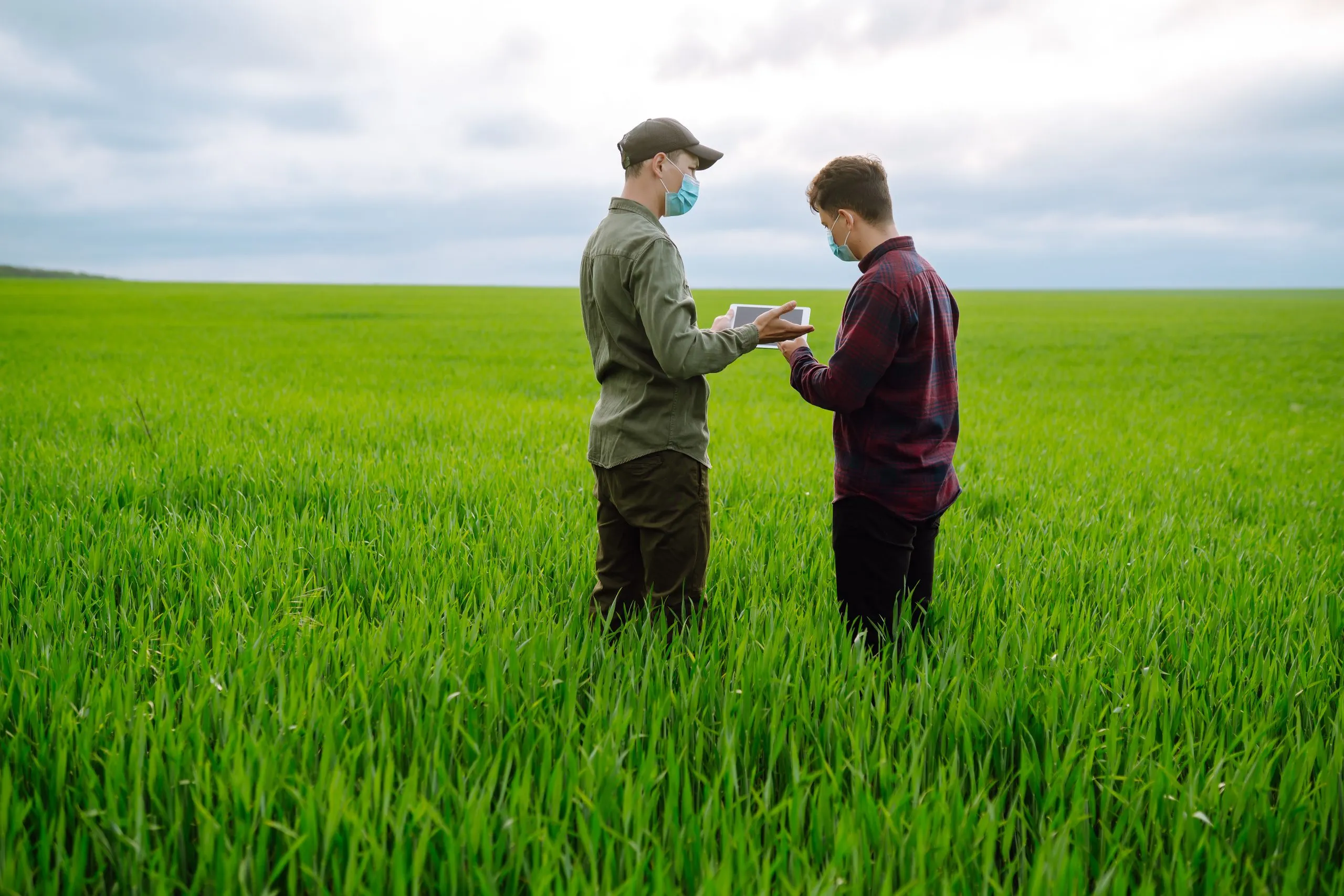 Vietnam Controlled Release Fertilizer Market Outlook to 2035 two-farmers-protection-mask-with-tablet-field-modern-agriculture-technologysmart-farming-scaled