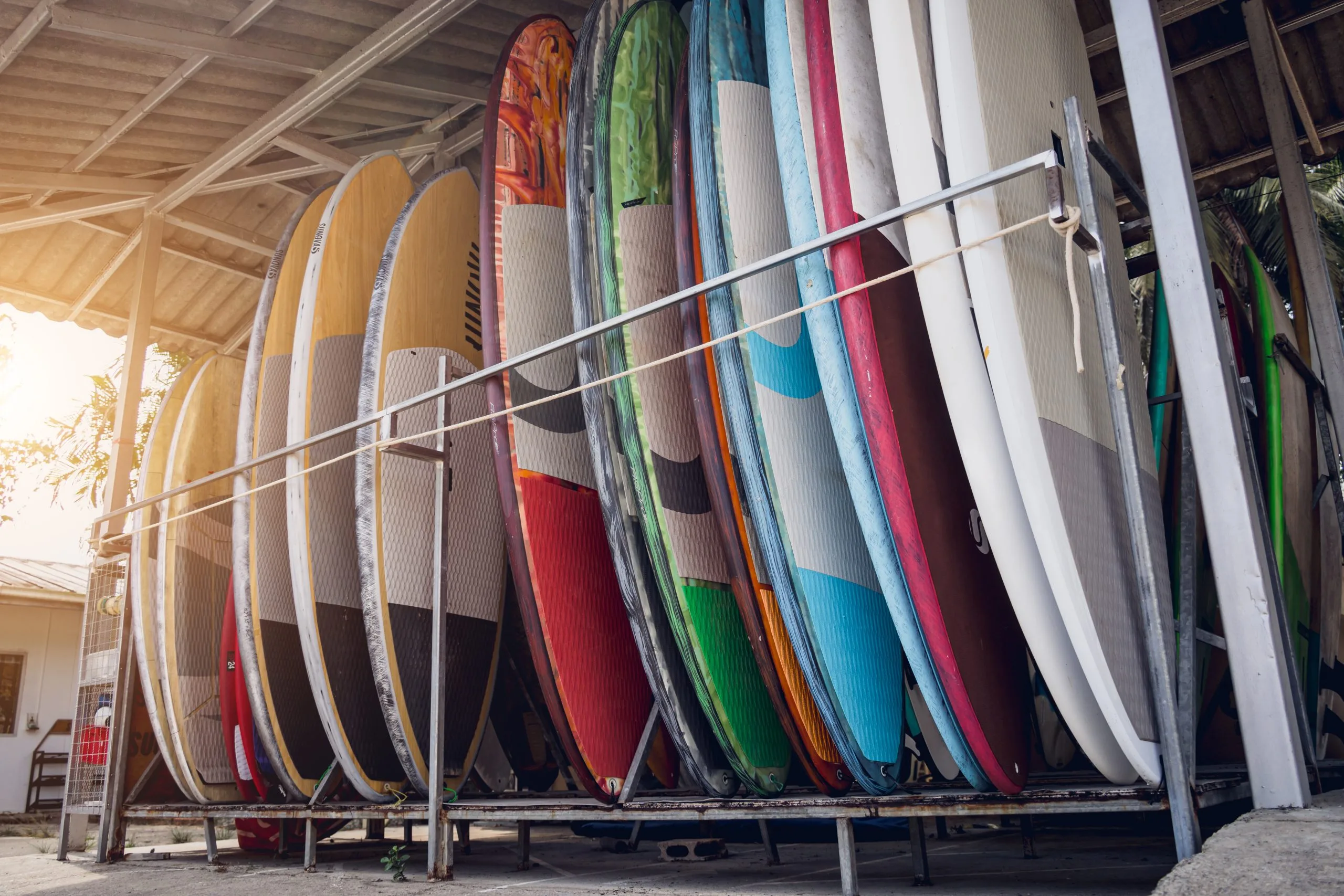 UAE Surfing Equipment Market Rides the Growth of a USD 110 Million Opportunity variety-surfboards-are-neatly-displayed-stand-scaled