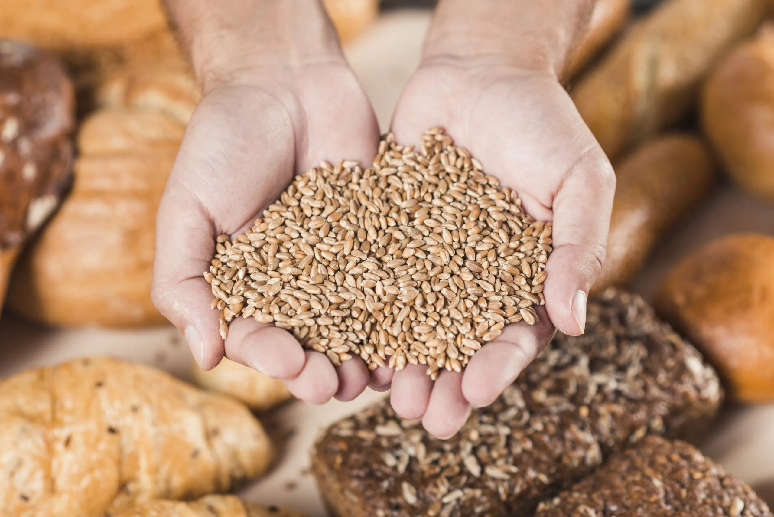 Wheat Market Expansion Strategies Address Rising Demand Across Food and Feed Applications wheat-market-expansion-strategy-scaled