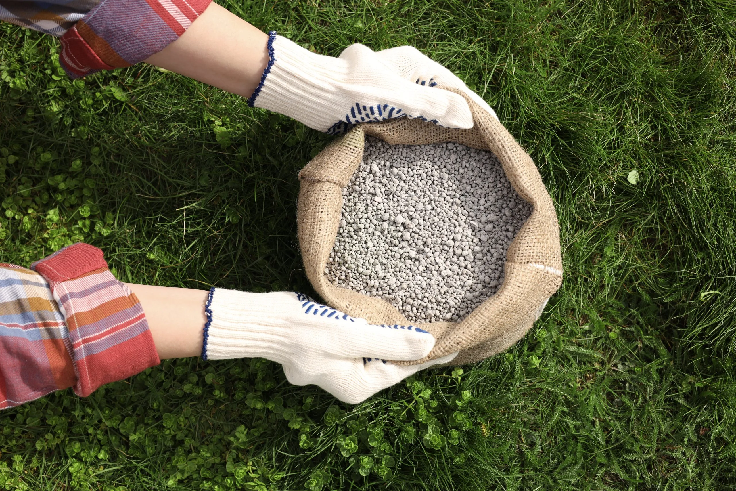 Nigeria Controlled Release Fertilizer Market Outlook to 2035 woman-with-bag-fertilizer-green-grass-outdoors-top-view-scaled