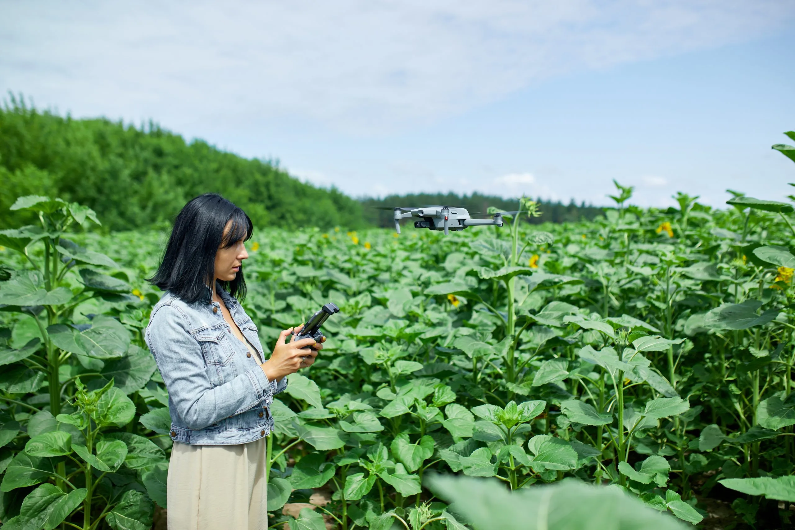 Japan Agritech Market Set to Surpass USD 5 Billion with Over 10 Percent Annual Growth young-woman-learning-how-pilot-her-drone-female-using-piloting-fly-drone-field-sunflowers-summer-agriculture-scaled