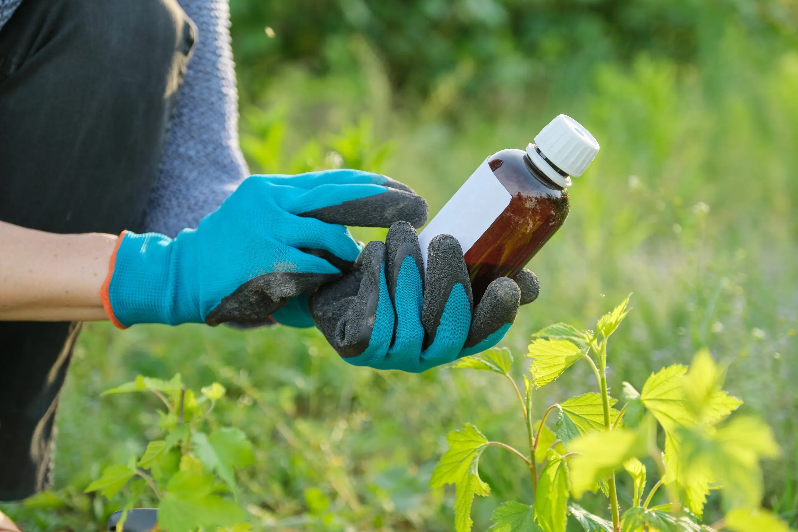 Brazil Insecticide Market Outlook to 2035 young-woman-working-garden-scaled