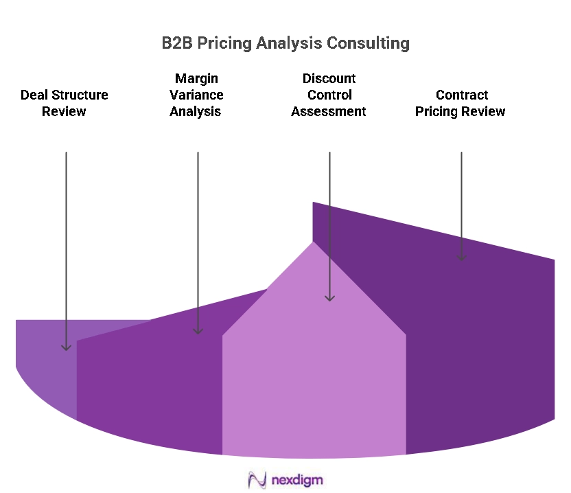 B2B Pricing Analysis Consulting