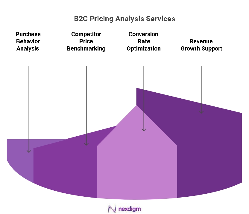 B2C Pricing Analysis Services