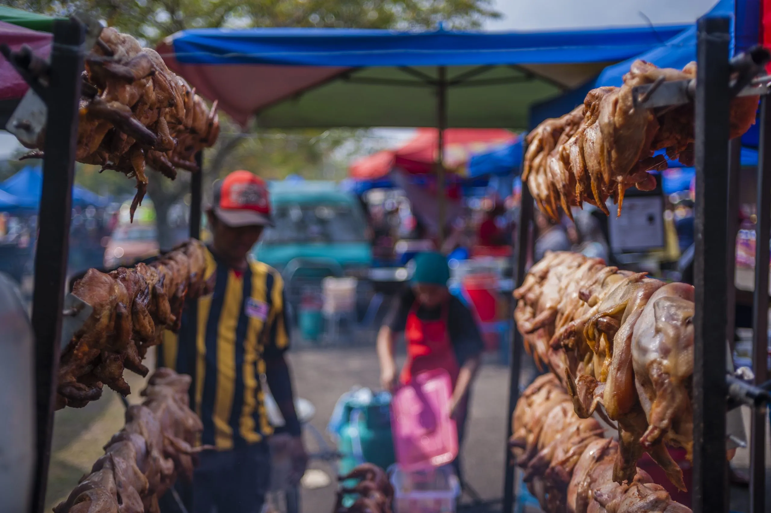 Brazil Animal Protein Market Outlook to 2035 Brazil-Animal-Protein-Market-scaled