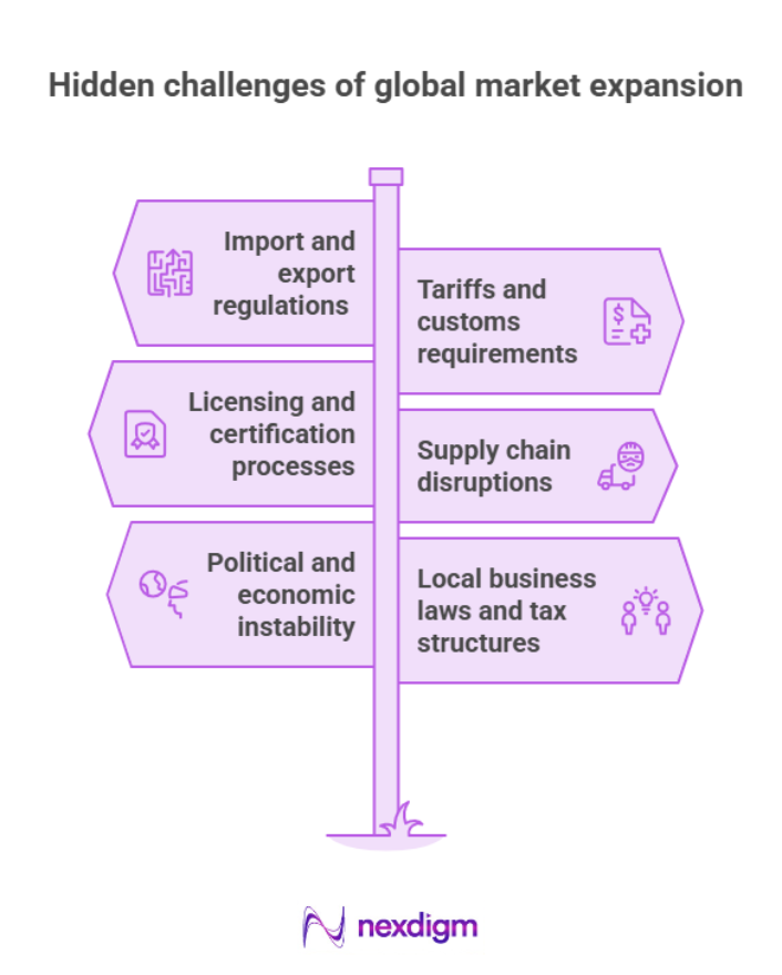 Challenges of Global Market Expansion