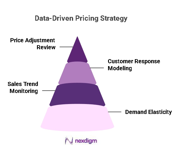 Data-Driven Pricing Strategy