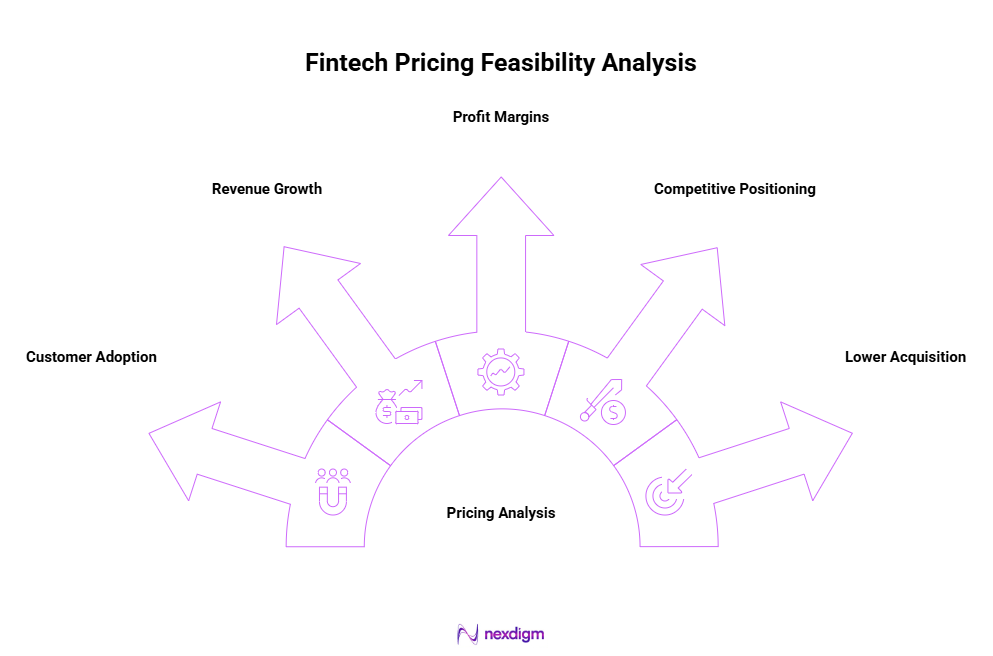 Fintech Pricing Feasibility Analysis