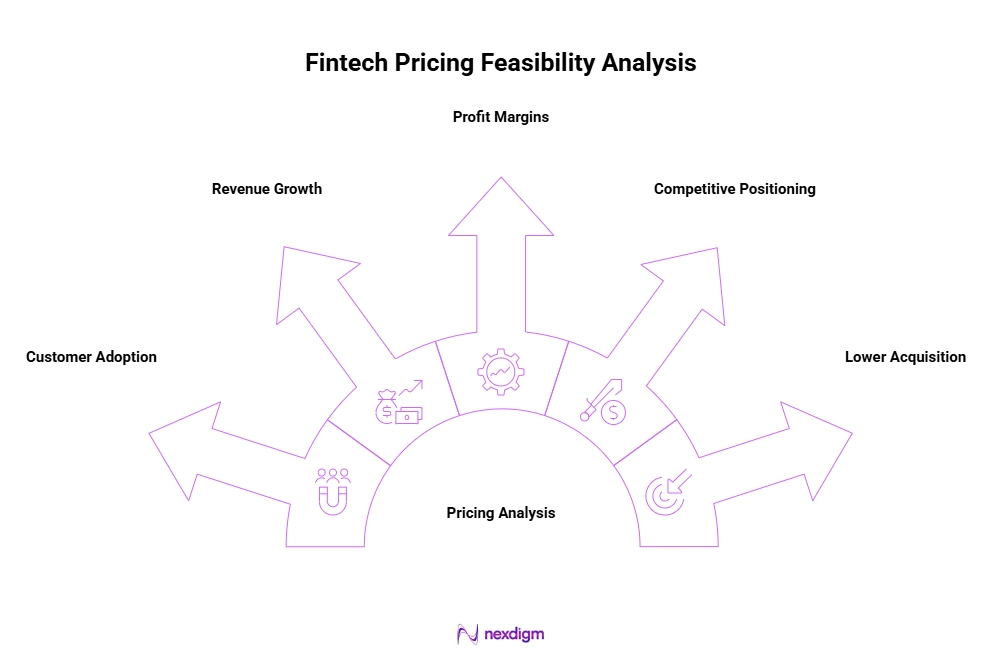 Fintech Pricing Feasibility Analysis