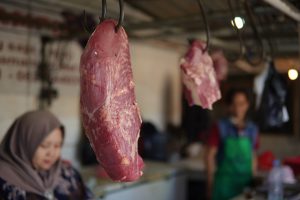 KSA Animal Protein Market Outlook to 2035