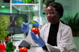 Nigeria Food Traceability Market Outlook to 2035