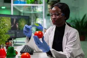 Nigeria Food Traceability Market Outlook to 2035