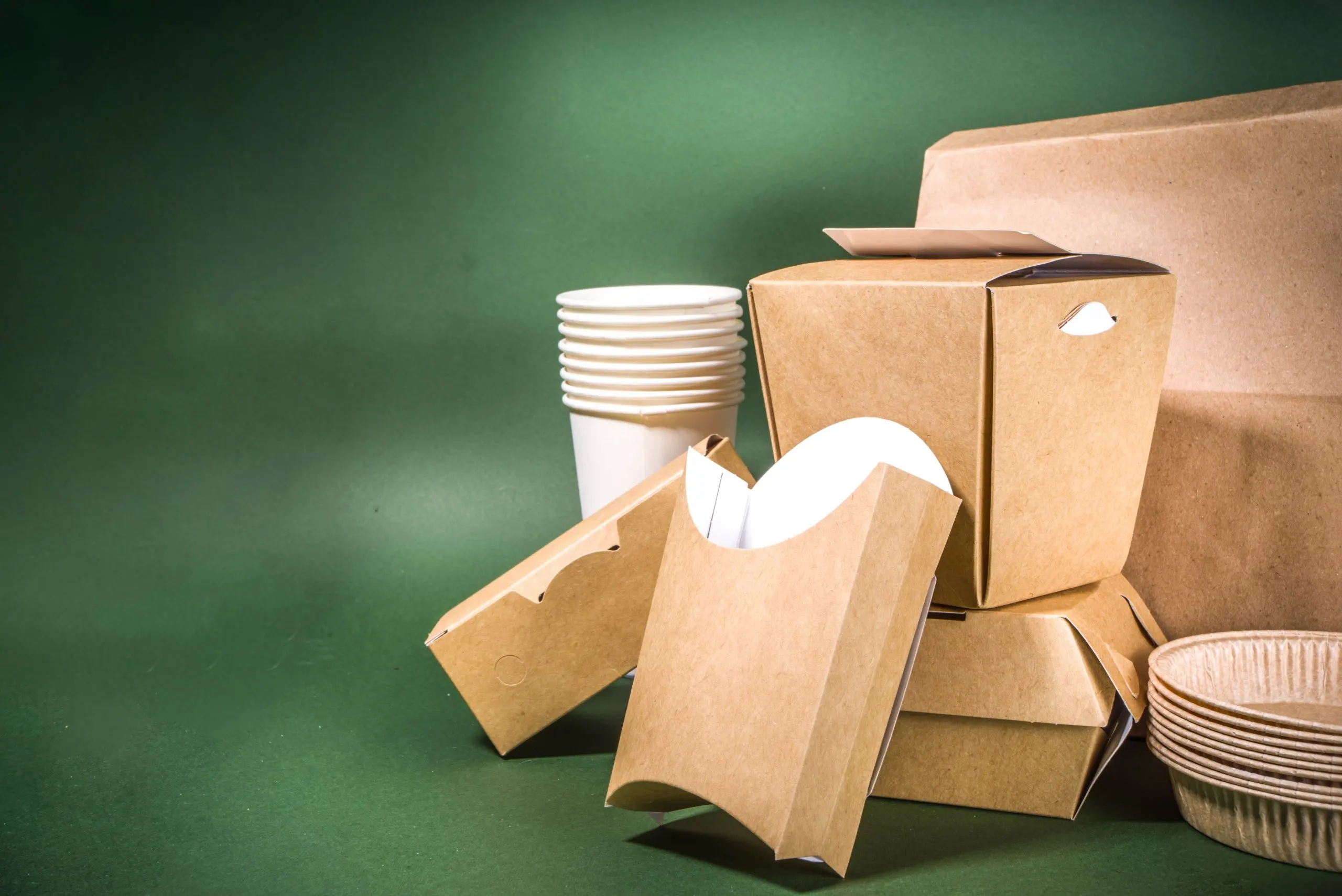UAE Sustainable Packaging Market Outlook to 2035 Nigeria-Sustainable-Packaging-Market-scaled