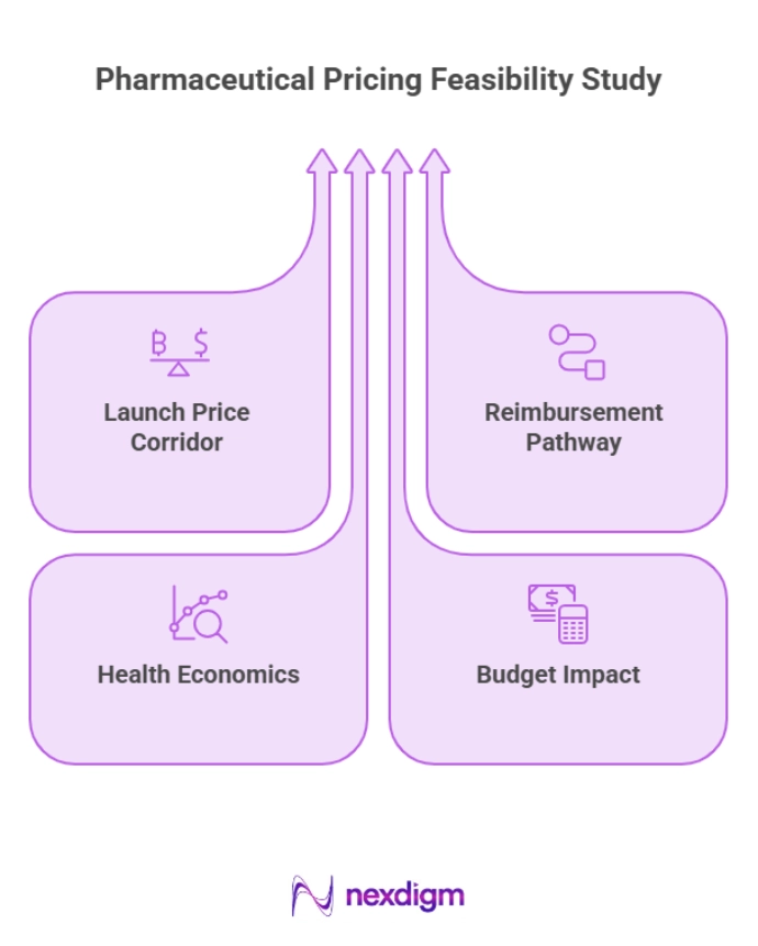 Pharmaceutical Pricing Feasibility Study