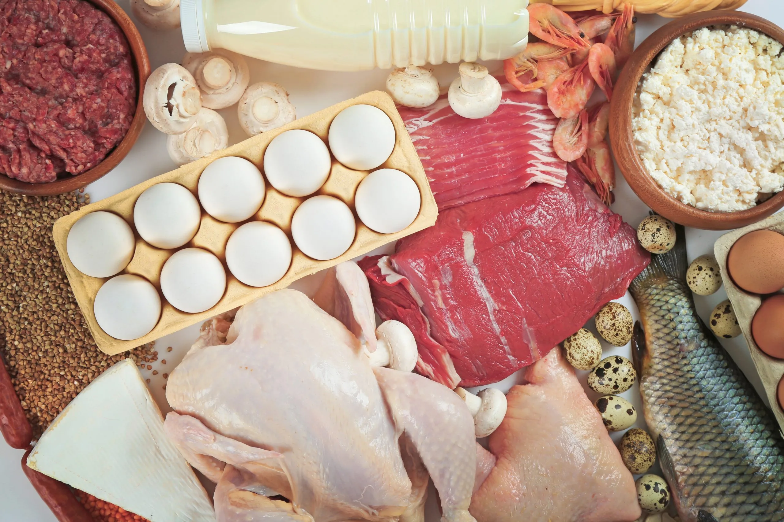 Philippines Animal Protein Market Outlook to 2035 Philippines-Animal-Protein-Market-scaled