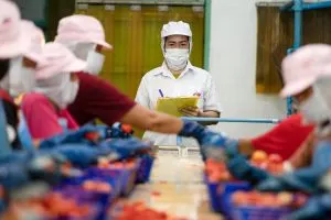 Philippines Food Traceability Market Outlook to 2035