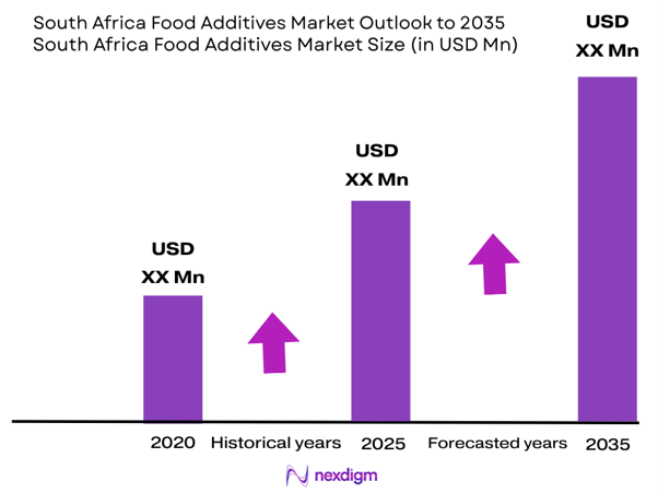 South Africa Food Additives Market