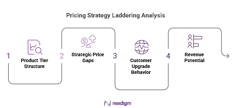 Pricing Strategy Laddering Analysis
