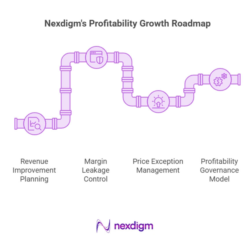 Segment-Based Pricing Roadmap