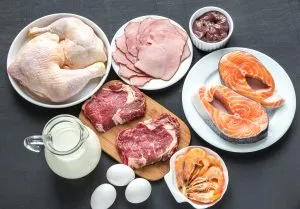 Singapore Animal Protein Market Outlook to 2035