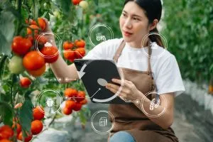 Singapore Food Traceability Market Outlook to 2035