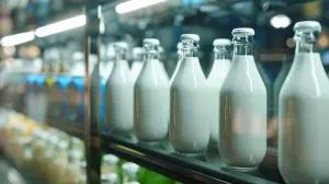 Singapore Lactic Acid Market Outlook to 2035