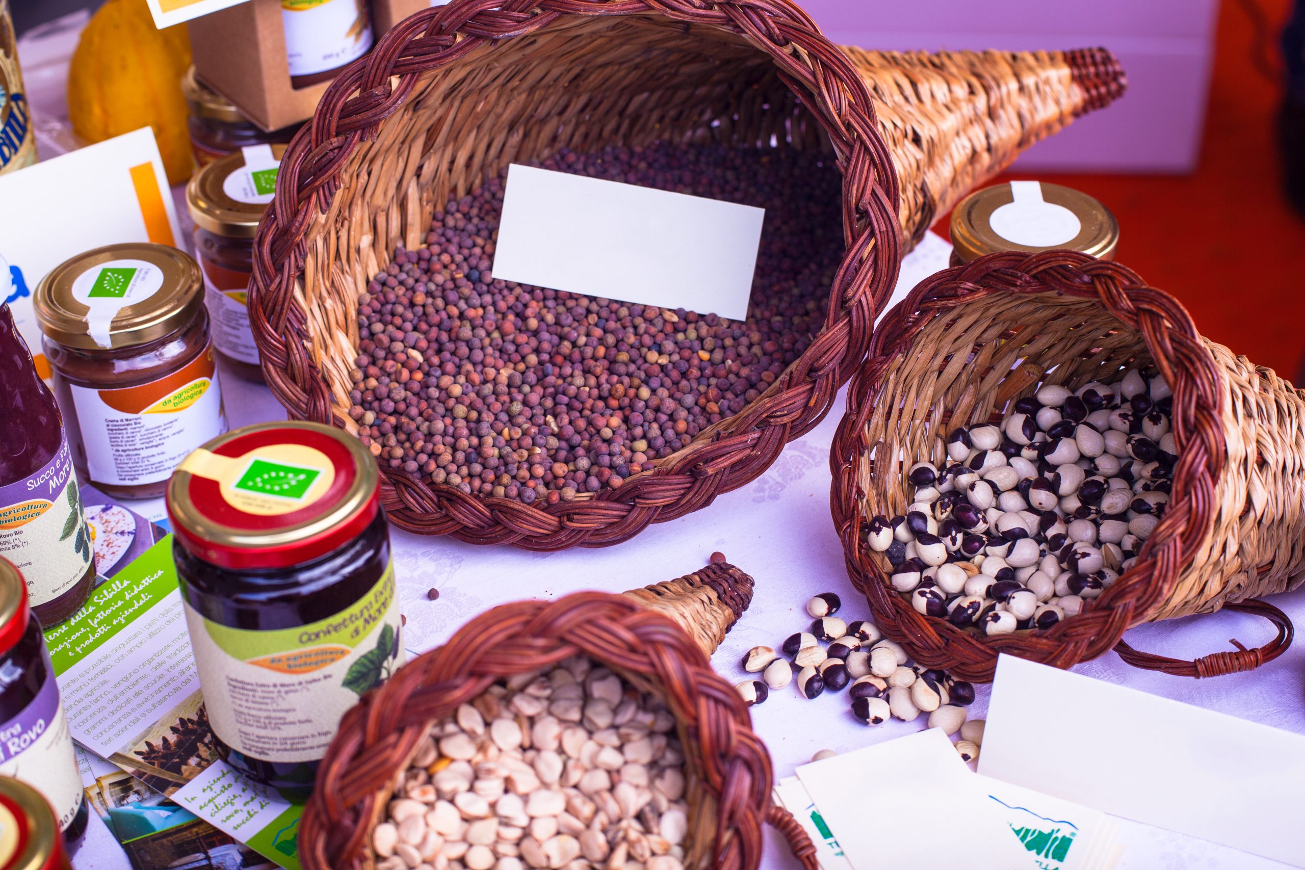 South Africa Collagen Market Outlook to 2035 South-Africa-Collagen-Market-scaled