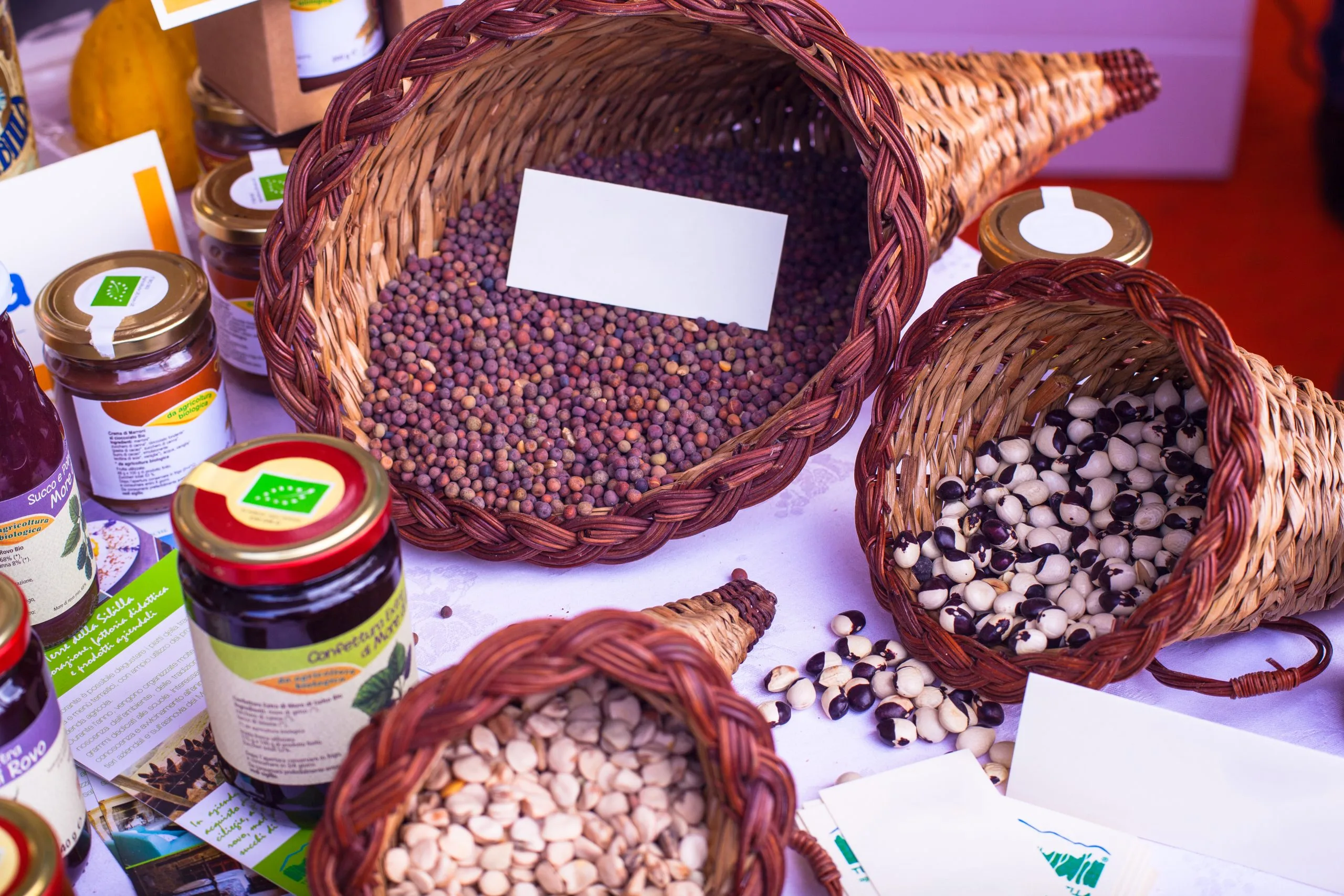 South Africa Collagen Market Outlook to 2035 South-Africa-Collagen-Market-scaled