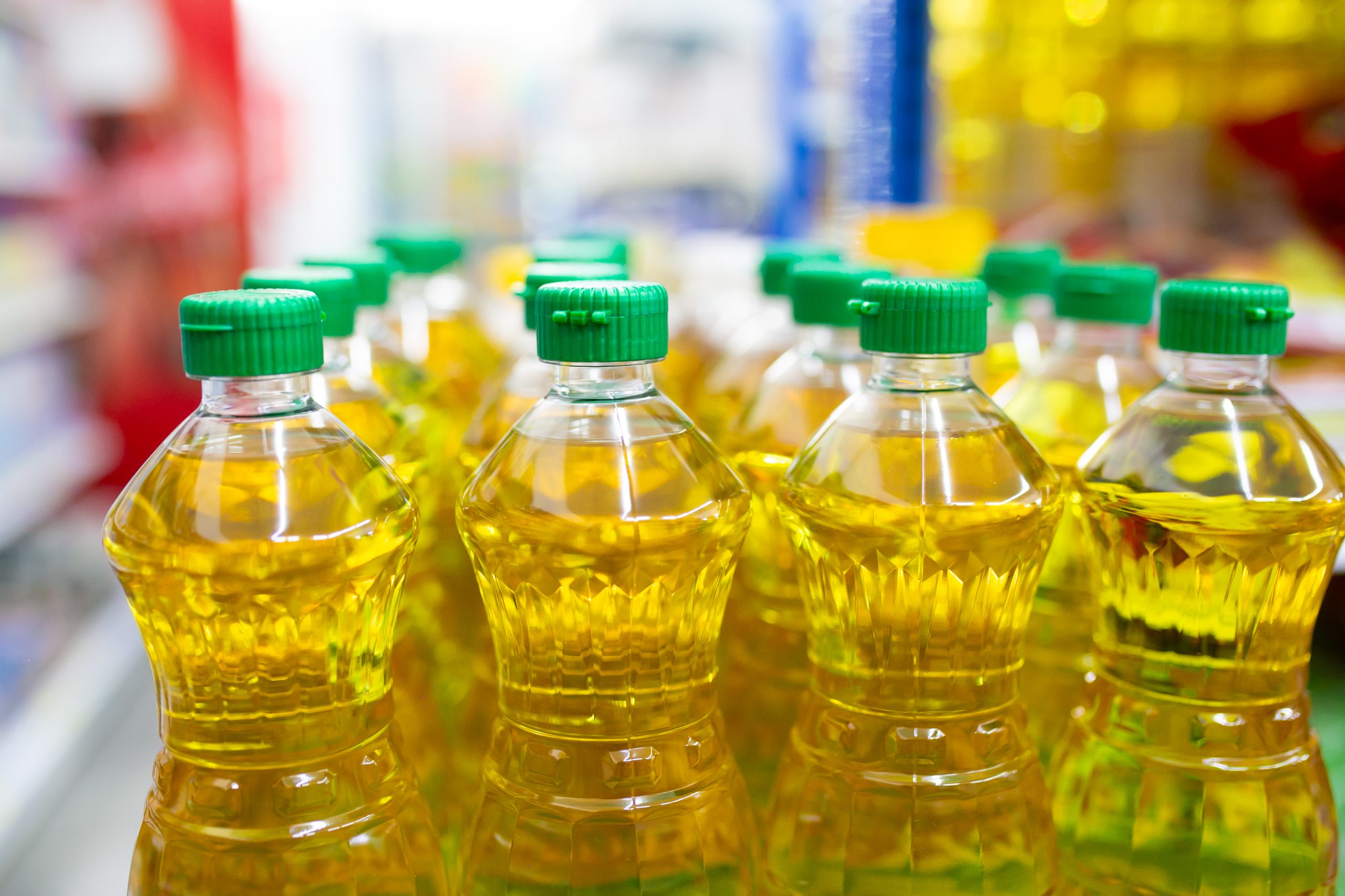 South Africa Fats and Oil Market Outlook to 2035 South-Africa-Fats-and-Oil-Market-scaled