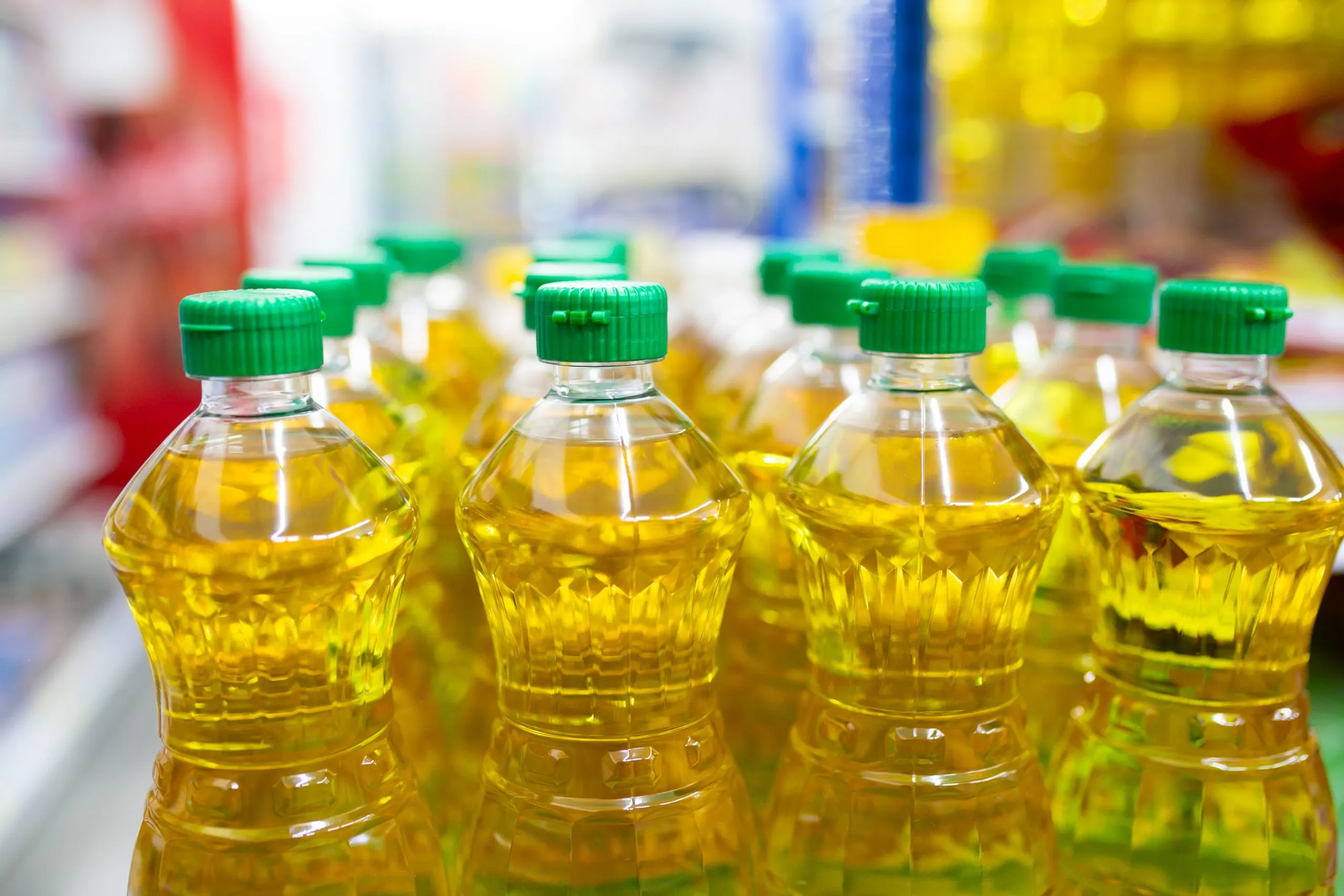 South Africa Fats and Oil Market Outlook to 2035 South-Africa-Fats-and-Oil-Market-scaled