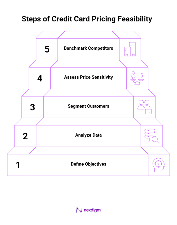 Steps for Credit Card Pricing Feasibility