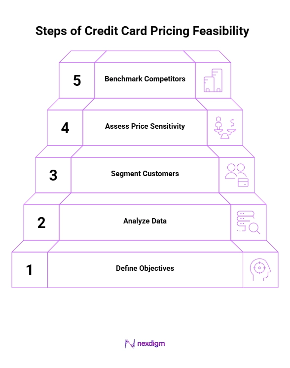 Steps for Credit Card Pricing Feasibility
