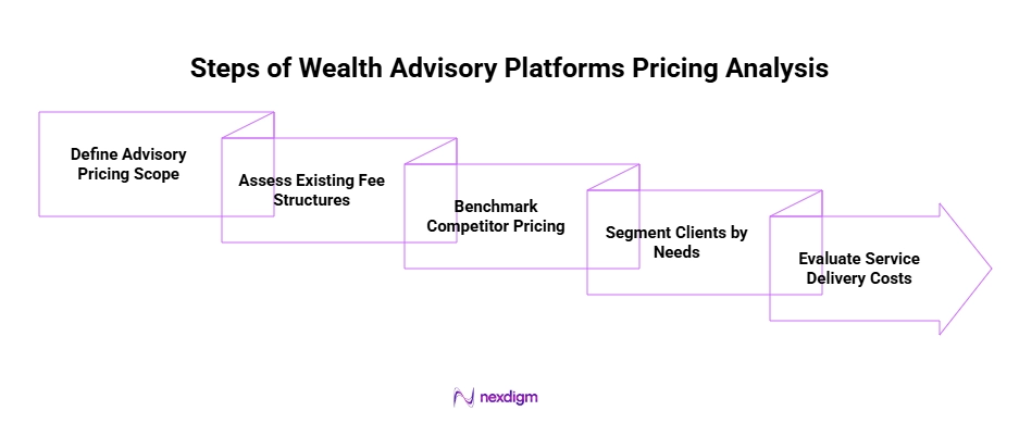 Steps of Wealth Advisory Platforms Pricing Analysis