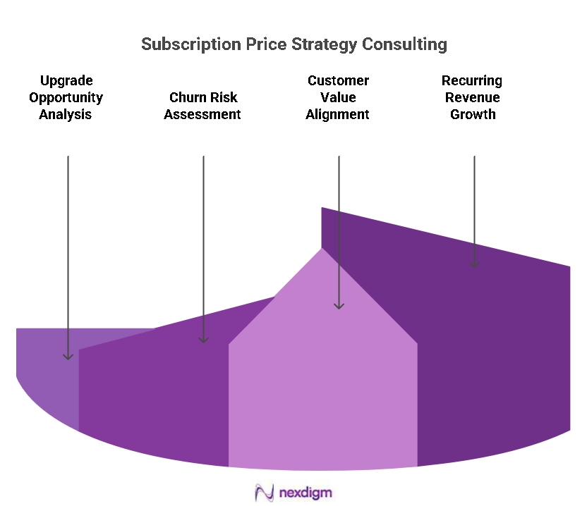 Subscription Pricing Strategy Consulting